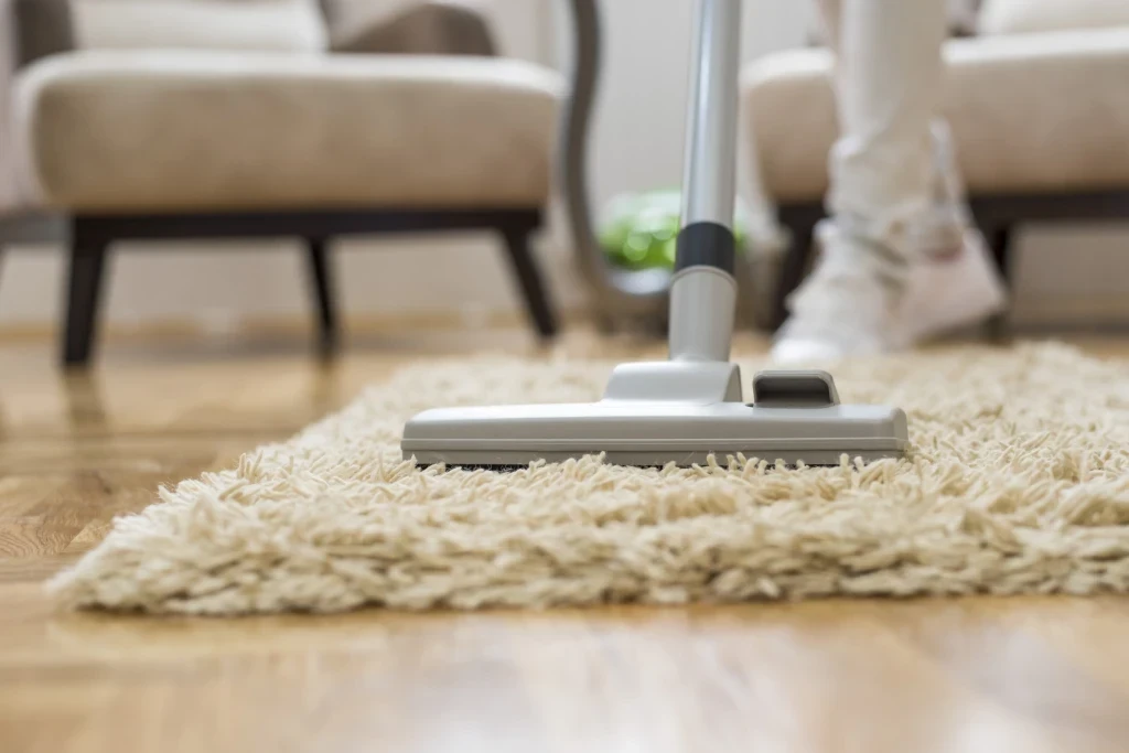 closeup-vacuum-cleaner-living-room.jpg